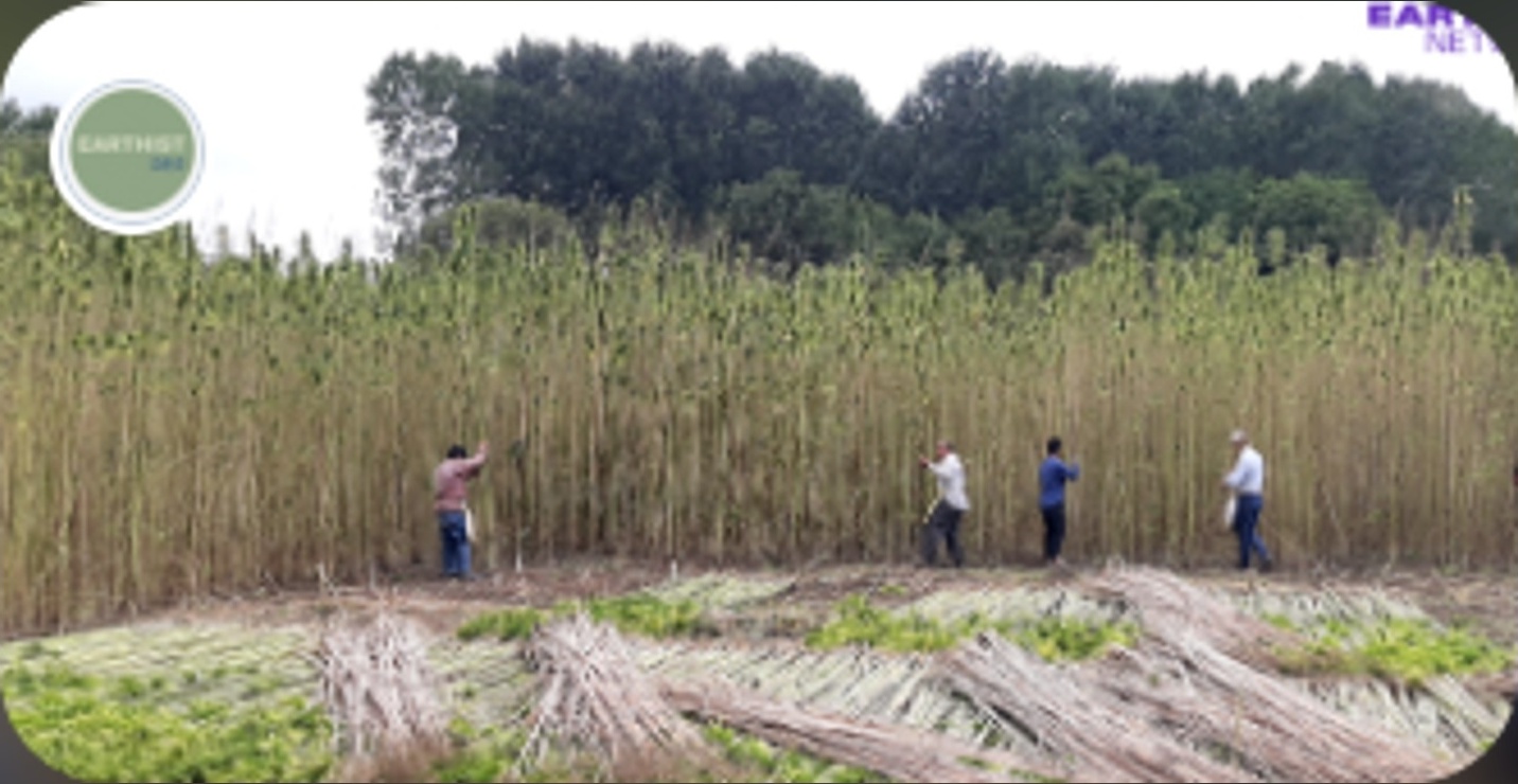 Kendir Regenerative Hemp Cultivation