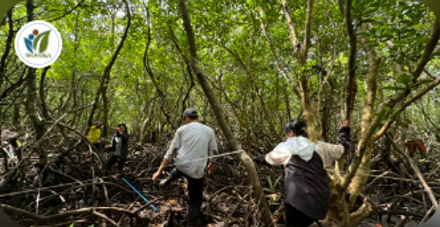 Science-Based Assessment of Mangrove Restoration Potential in Capalonga
