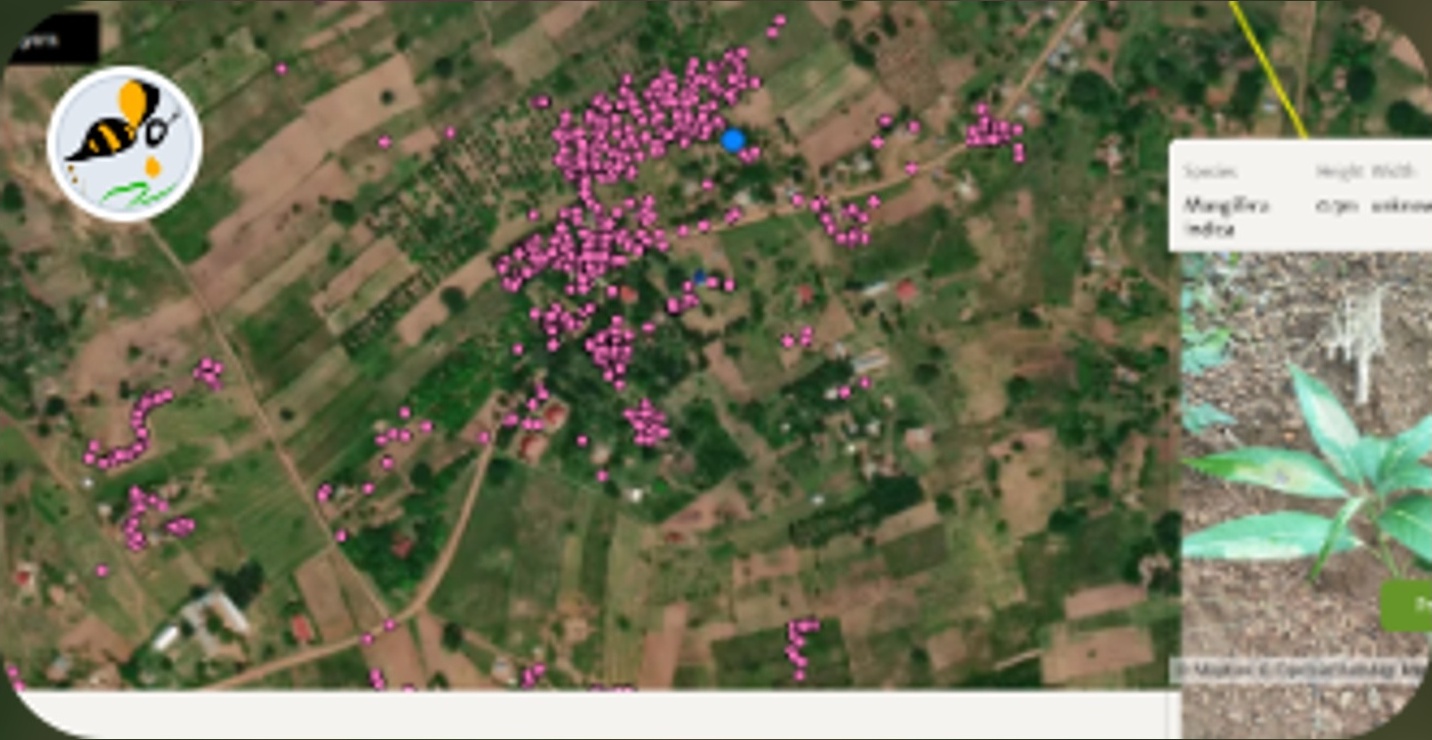 Bees and Trees: Restoring Land through farmer incentives in Uganda
