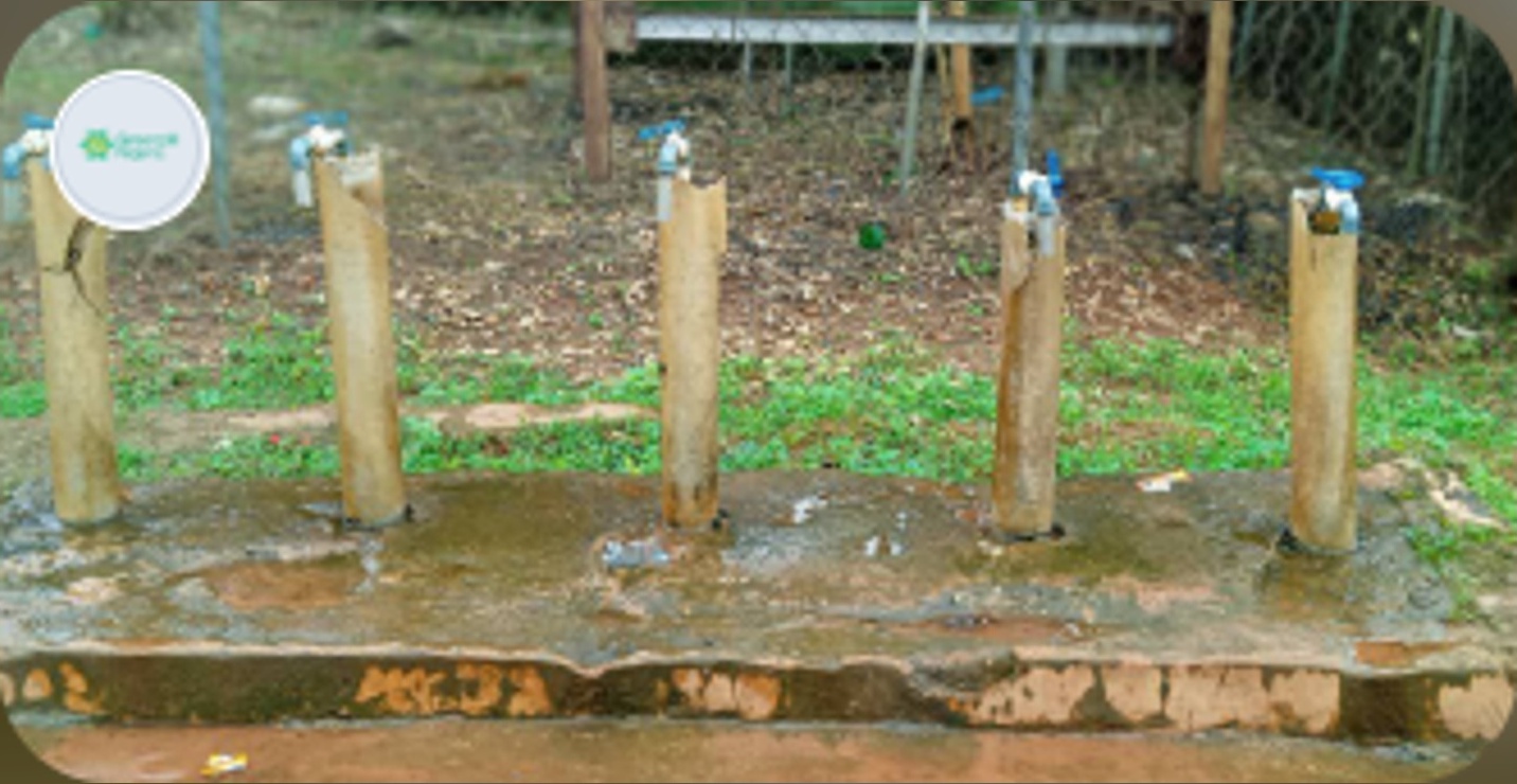 Greenpill Nigeria-Project Water Cup Mapping