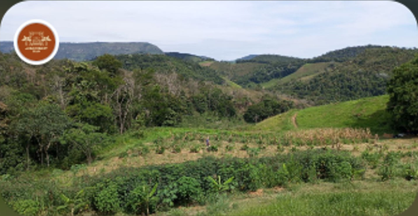 Planting of the Redemption Hill Agroforestry System