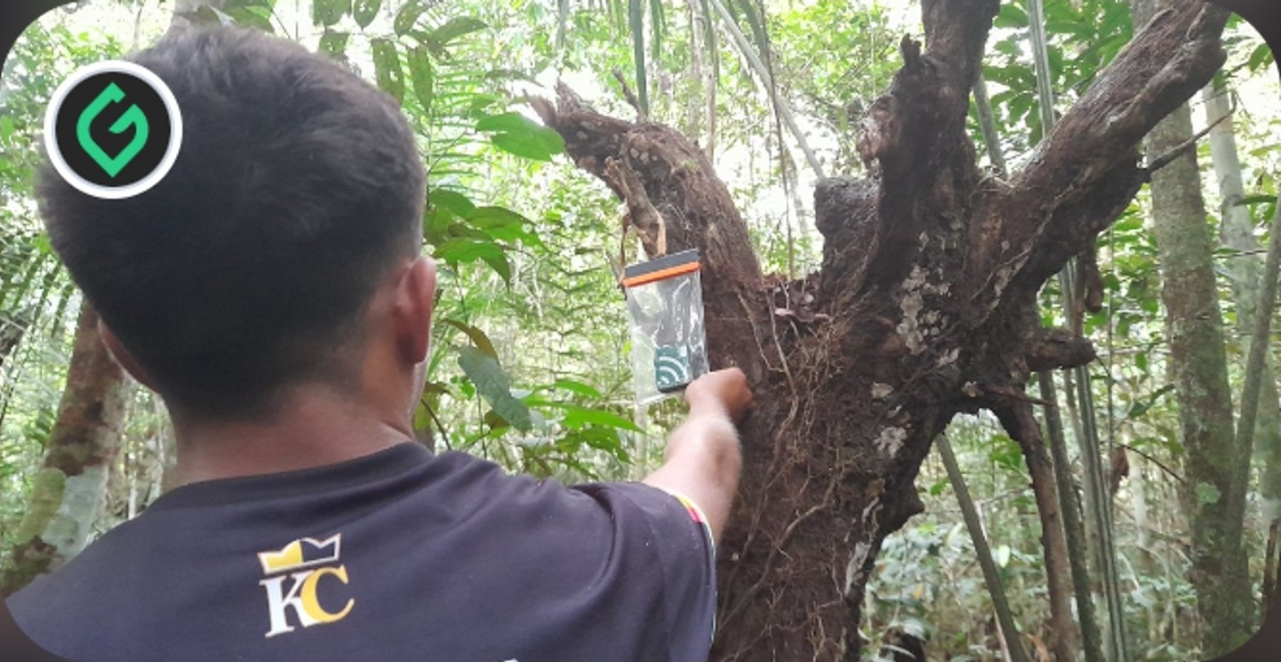 Santa Helena do Ingles Biodiversity Monitoring