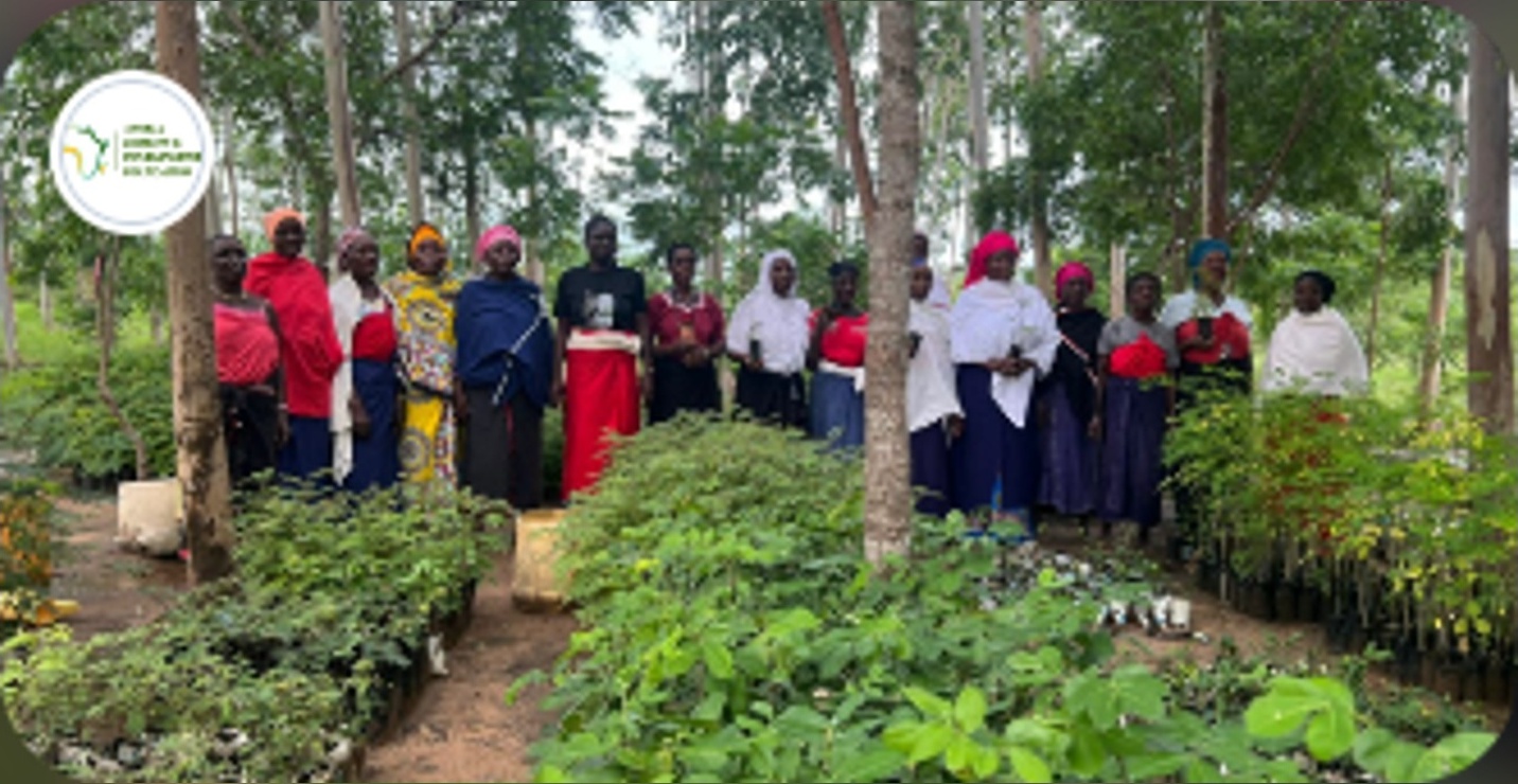 Regenerating Kaya Chonyi, Kenya’s Sacred Forest