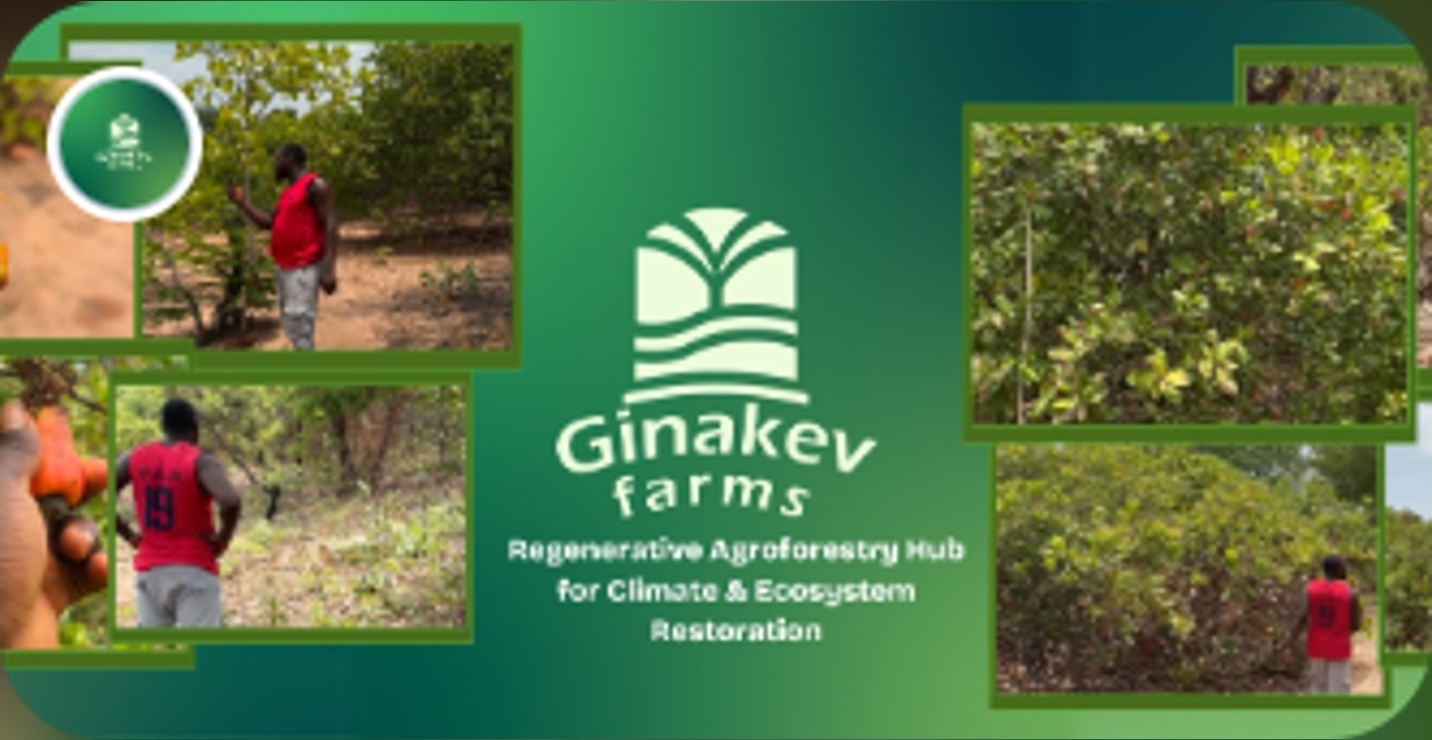 GINAKEV FARMS: A Regenerative Agroforestry Hub for Eco Restoration