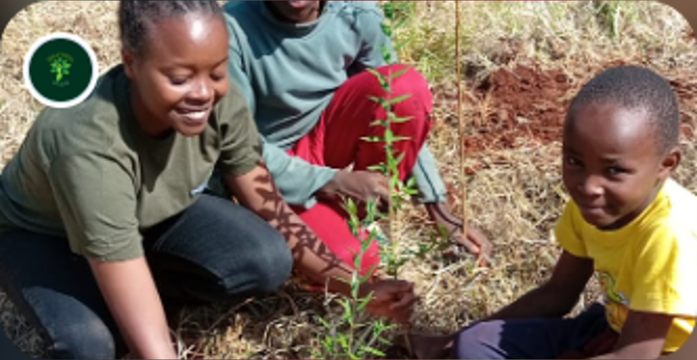 School Greening in Nyeri with Together4Trees Kenya