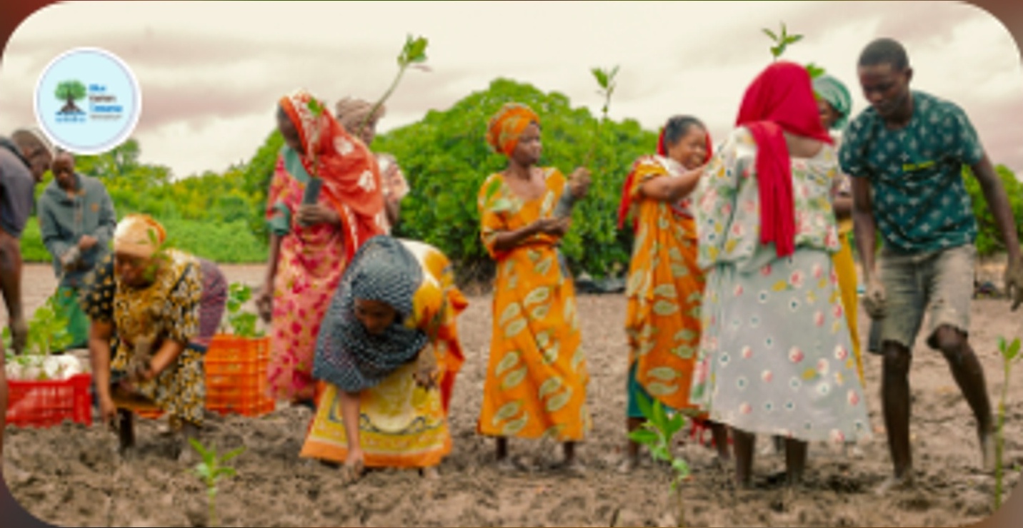 Go Green, Save the Mangroves