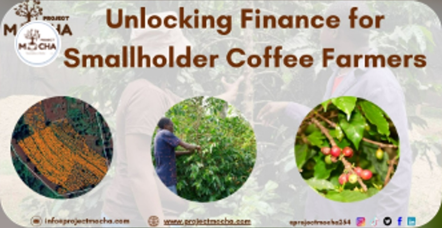Unlocking Access to Finance for Kenyan Coffee Farmers