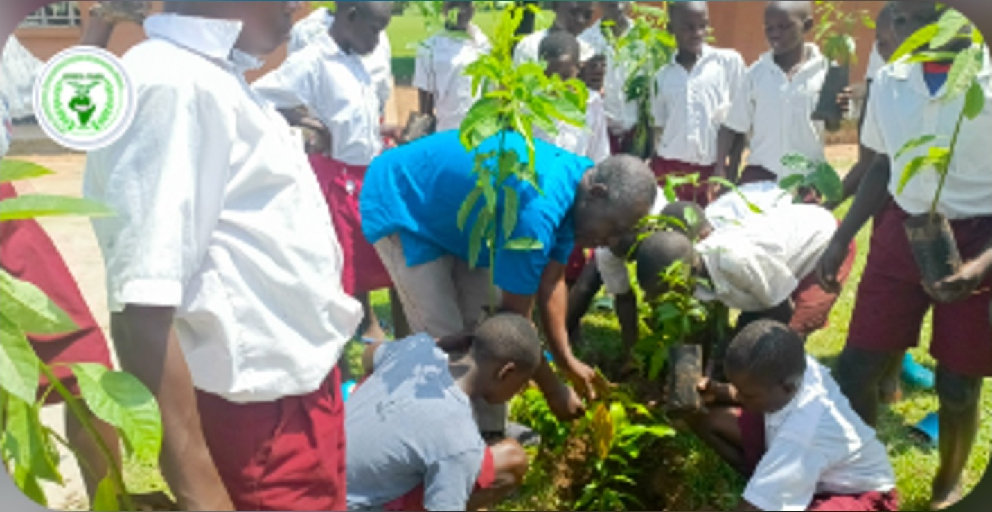 Ayowecca Uganda: Regenerative Agricultural Pactices and Climate Education in Uganda