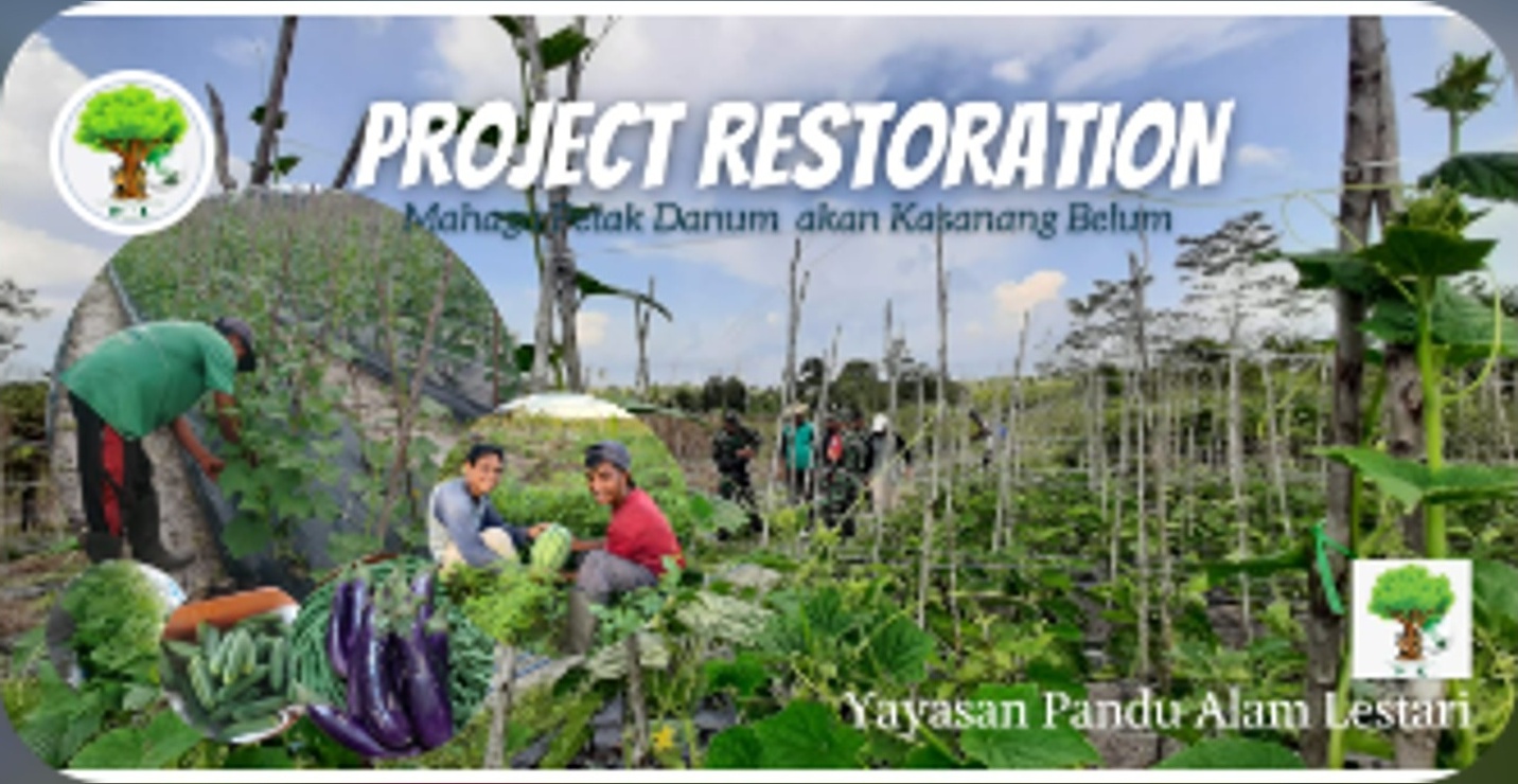 Agroforestry Pilot for Post-Fire Land Restoration, Kalimantan, Indonesia