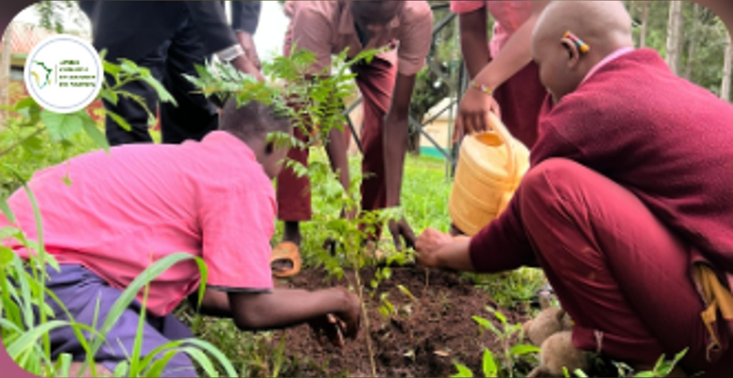 Help us Grow Hope at The Kwale School for the Mentally Challenged