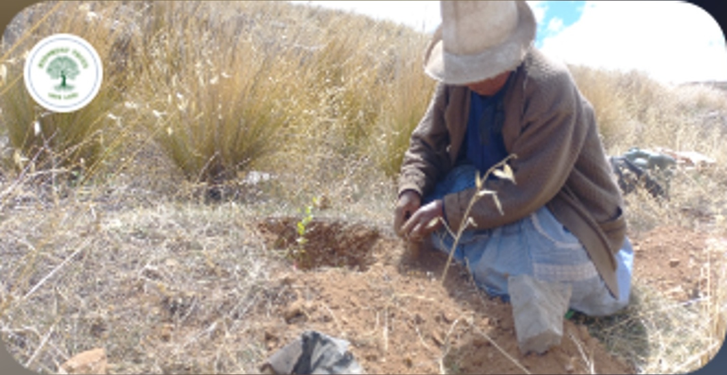3 hours a day for water and no electricity: You can bring water, light, reforestation, and jobs to Choras