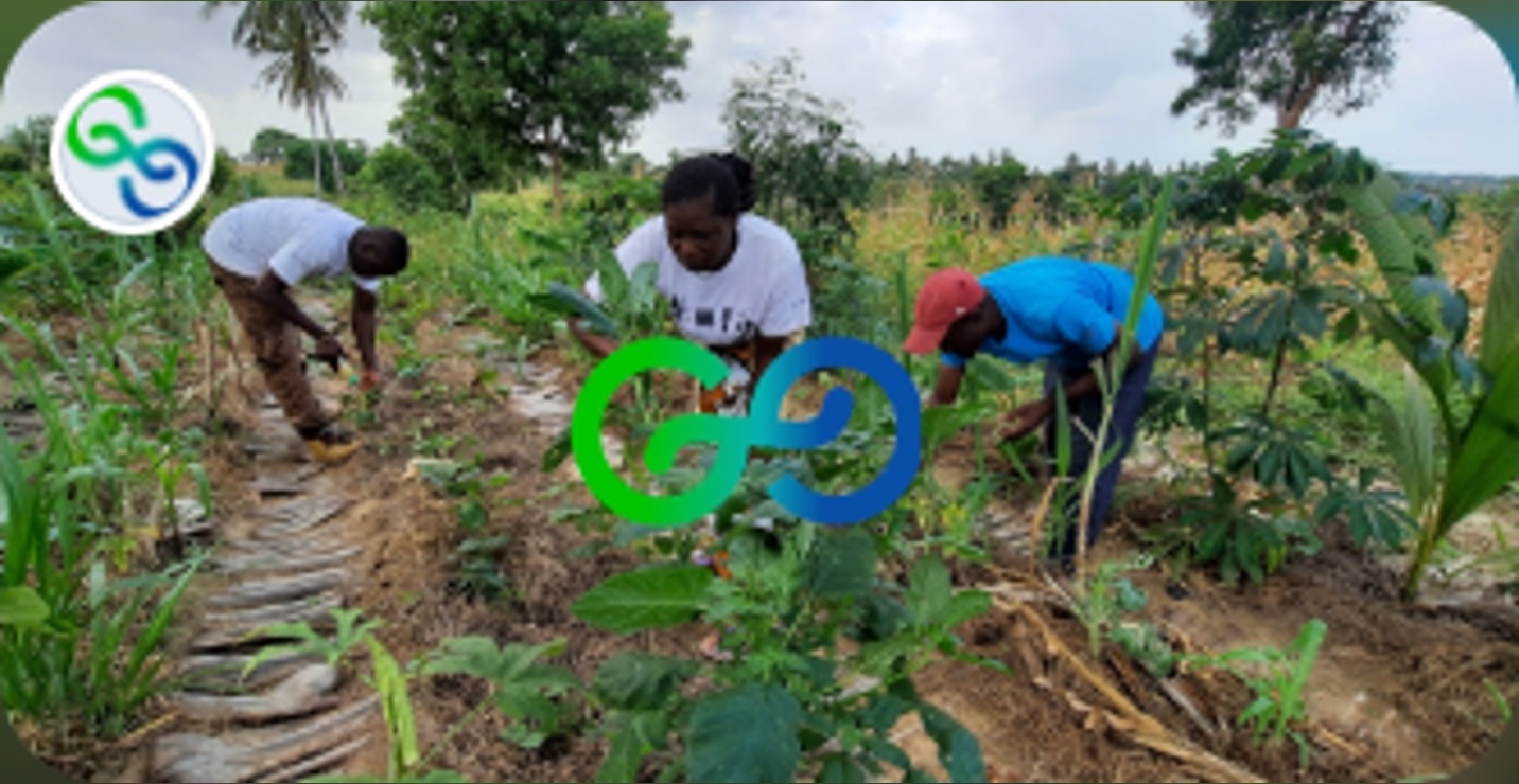 Grassroots Economics