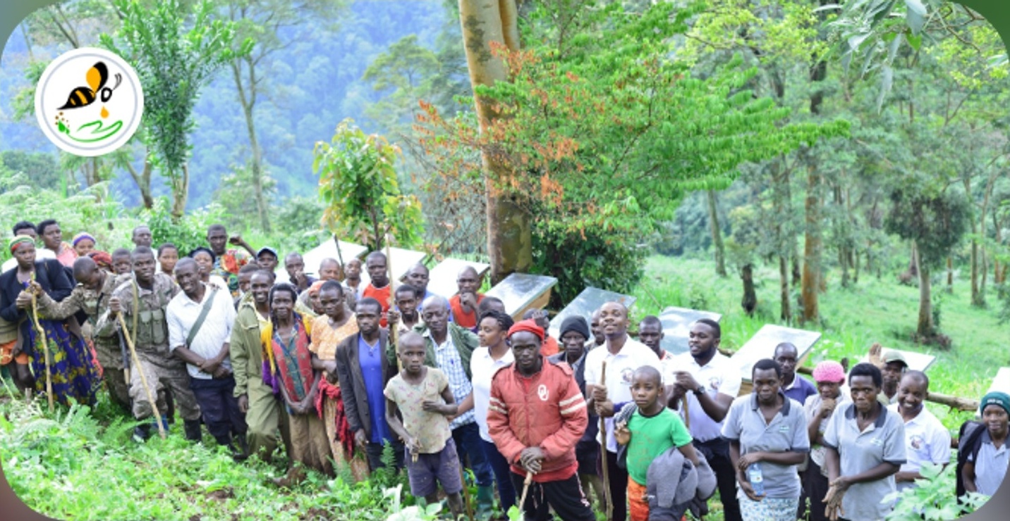Bees and Trees: Restoring Land through Agroforestry in Uganda