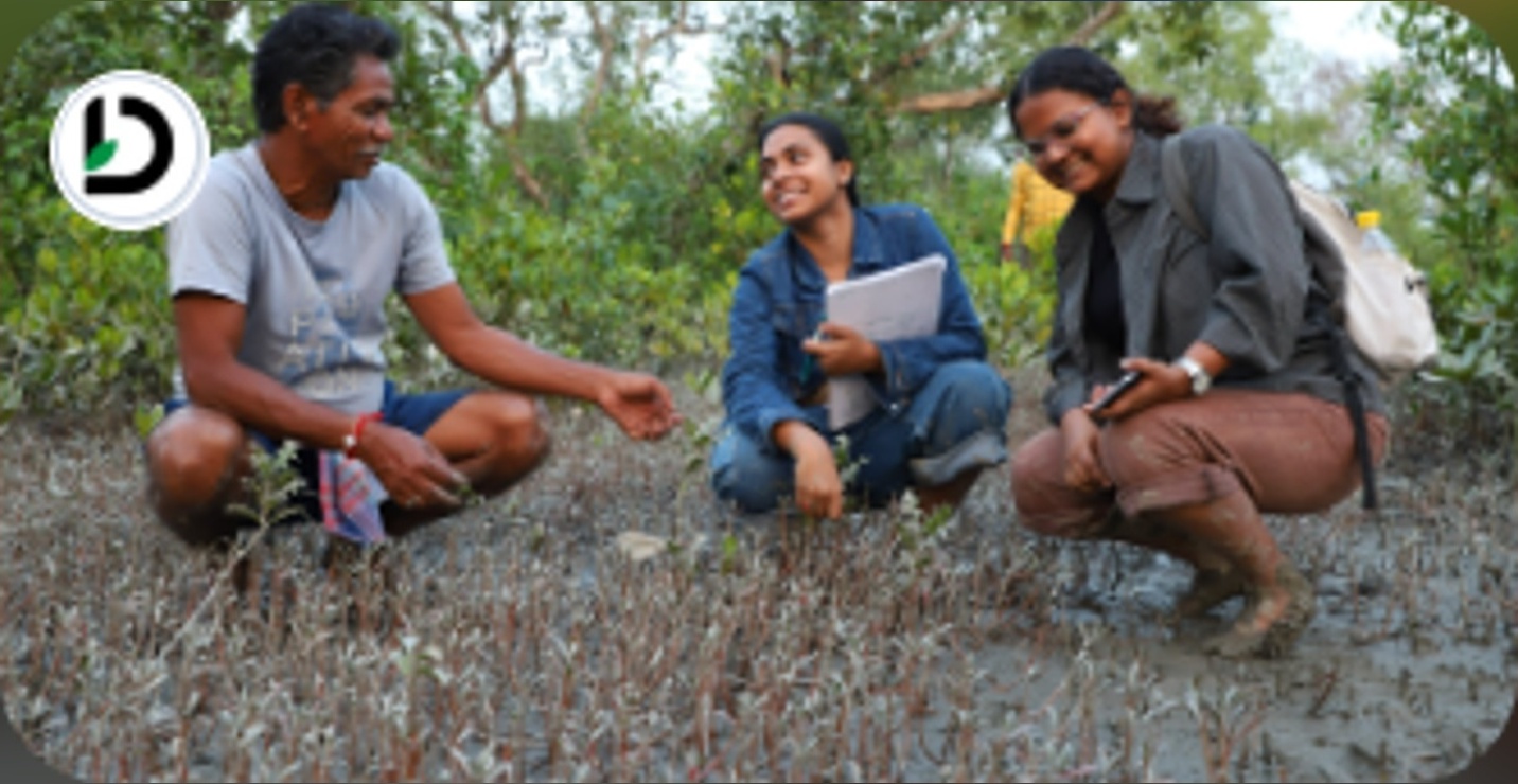 Mangrove & Community Revival in Sundarbans, India